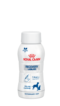 Dinkarville Gestaag enkel en alleen Recovery Liquid Hond en Kat 3 flessen van 200 ml Royal Canin - PetQure
